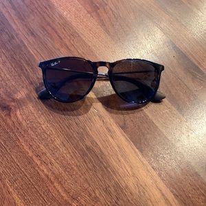 Rayban Erika Sunglasses